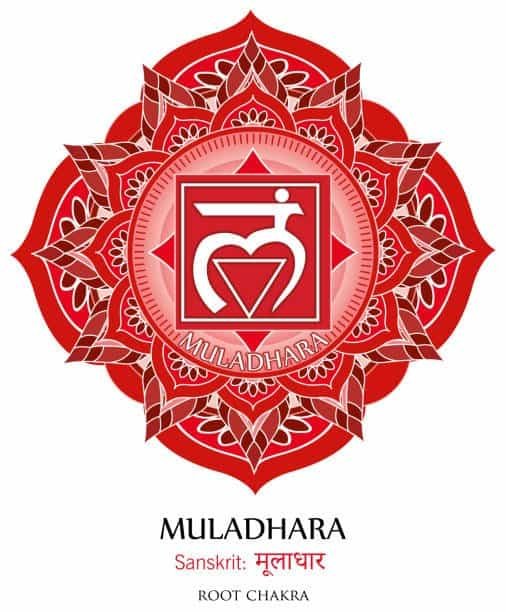 first chakra illustration vector of muladhara