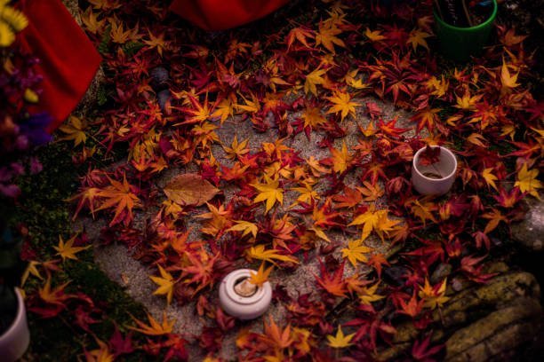 autumn equinox balance ceremony1