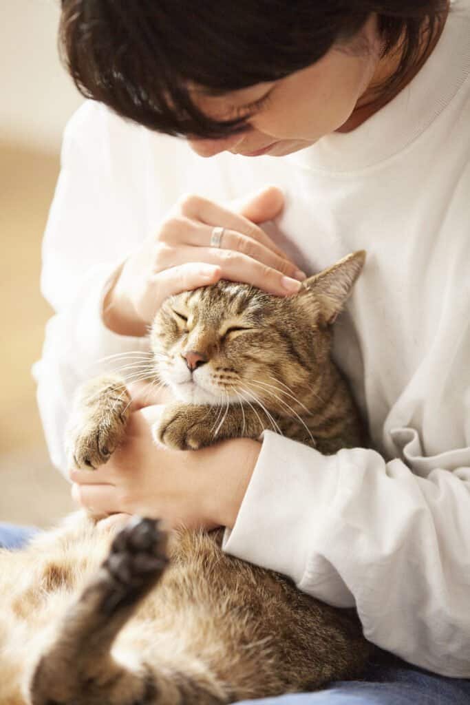 pet